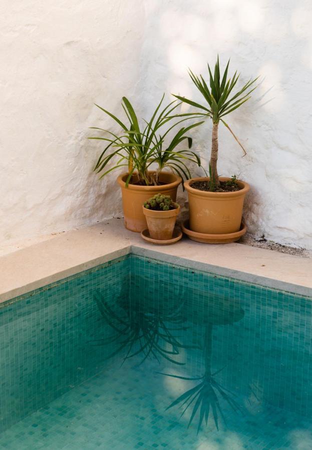 Casa De Los Cuadros Villaluenga Del Rosario Exteriér fotografie