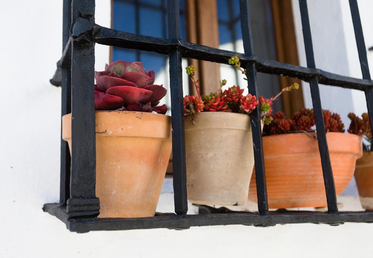 Casa De Los Cuadros Villaluenga Del Rosario Pokoj fotografie